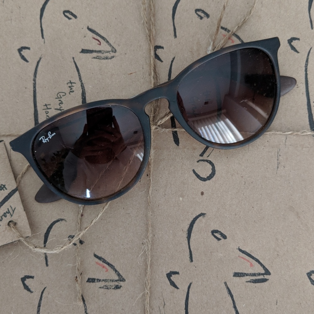 Ray Ban Erika Sunglasses